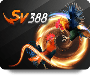 Why SHBET Live Dealer Hot Is Trending Among Online Casino Fans